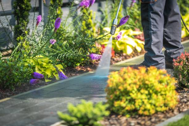 Best Patio and Deck Pressure Washing  in Washingtonville, NY